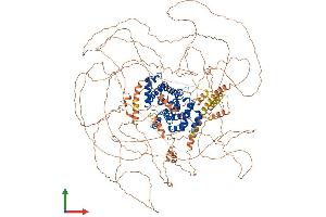 AlphaFold protein structure predicition of Mouse Recombinant Ccnb3 Protein, UniprotID Q810T2 (Cyclin B3 Protein (CCNB3) (AA 1-1396) (His tag))