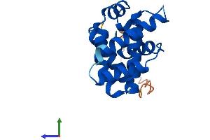 AlphaFold protein structure predicition of Human Recombinant BCL2L15 Protein, UniprotID Q5TBC7