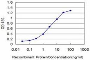 Detection limit for recombinant GST tagged FLT4 is approximately 0. (FLT4 antibody  (AA 34-133))