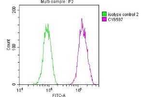 Flow Cytometry (FACS) image for anti-Fatty Acid Synthase (FASN) antibody (ABIN7127484)