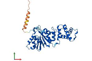 AlphaFold protein structure predicition of Human Recombinant DIMT1 Protein, UniprotID Q9UNQ2 (DIMT1 Protein (AA 1-313) (His tag))