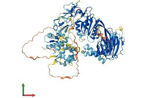 AlphaFold protein structure predicition of Mouse Recombinant Dgkg Protein, UniprotID Q91WG7 (DGKG Protein (AA 1-788) (His tag))