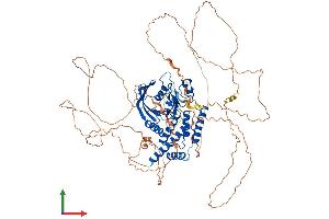 AlphaFold protein structure predicition of Human Recombinant PTPN22 Protein, UniprotID Q9Y2R2 (PTPN22 Protein (AA 1-807) (His tag))
