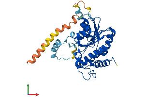 Protein Structure (PS) image for Retinol Dehydrogenase 14 (All-Trans/9-Cis/11-Cis) (RDH14) (AA 1-336) protein (His tag) (ABIN7551221)