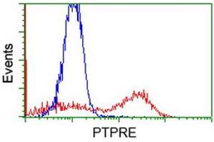 Flow Cytometry (FACS) image for anti-Protein tyrosine Phosphatase, Receptor Type, E (PTPRE) antibody (ABIN1500508)