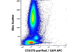 Flow cytometry surface staining pattern of human anti-IgE antibody stimulated peripheral whole blood stained using anti-human CD107b (H4B4) purified antibody (concentration in sample 1,67 μg/mL, GAM APC). (LAMP2 antibody)