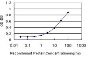 Detection limit for recombinant GST tagged CREB1 is approximately 1ng/ml as a capture antibody. (CREB1 antibody  (AA 1-341))