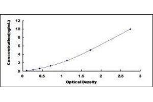 Gigaxonin (GAN) ELISA Kit