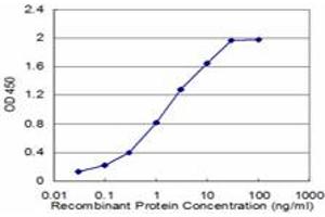Detection limit for recombinant GST tagged EEA1 is approximately 0. (EEA1 antibody  (AA 1312-1411))