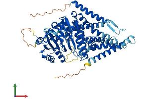 Protein Structure (PS) image for Hyaluronan Synthase 1 (HAS1) (AA 1-578) protein (His tag) (ABIN7554134)