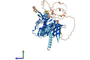 AlphaFold protein structure predicition of Human Recombinant FRMD5 Protein, UniprotID Q7Z6J6 (FRMD5 Protein (AA 1-570) (His tag))