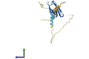 AlphaFold protein structure predicition of Mouse Recombinant Eaf2 Protein, UniprotID Q91ZD6 (EAF2 Protein (AA 1-262) (His tag))