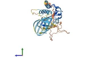 AlphaFold protein structure predicition of Mouse Recombinant Sh3yl1 Protein, UniprotID O08641 (SH3YL1 Protein (AA 1-340) (His tag))