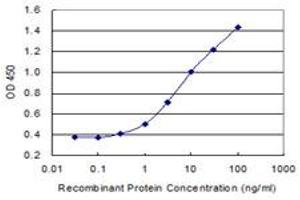 Detection limit for recombinant GST tagged PDYN is 0. (PDYN antibody  (AA 205-254))