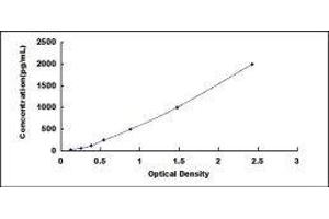 Typical standard curve (S100B ELISA Kit)