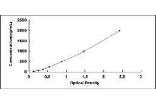 S100B ELISA Kit