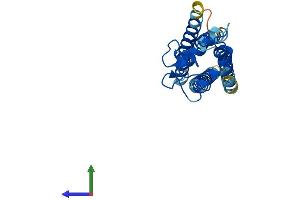 Protein Structure (PS) image for CD151 (CD151) (AA 1-253) protein (His tag) (ABIN7562335)
