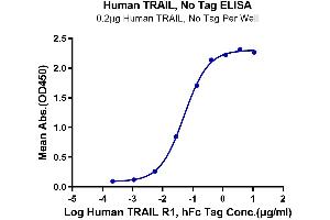 Immobilized Human TRAIL at 2 μg/mL (100 μL/well) on the plate. (TRAIL Protein (AA 114-281))