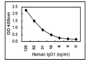 Sandwich ELISA using IgG1 monoclonal antibody, clone KT46  coated plate and HRP conjugated IgG monoclonal antibody, clone KT47 . (Rat anti-Human IgG1 (Fc Region) Antibody)