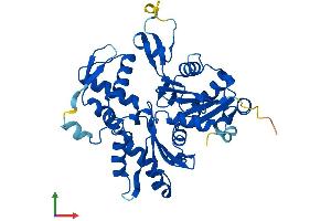 Protein Structure (PS) image for ARP1 Actin-Related Protein 1 Homolog B, Centractin beta (ACTR1B) (AA 1-376) protein (His tag) (ABIN7551902)