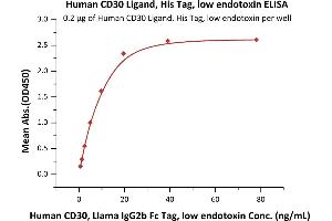 Immobilized Human CD30 Ligand, His Tag, low endotoxin (ABIN6731311,ABIN6809854) at 2 μg/mL (100 μL/well) can bind Human CD30, Llama IgG2b Fc Tag, low endotoxin (ABIN5954943,ABIN6253596) with a linear range of 0. (TNFSF8 Protein (AA 63-234) (His tag))