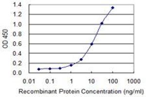 Detection limit for recombinant GST tagged ZNHIT3 is 0. (ZNHIT3 antibody  (AA 1-155))