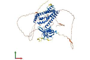 AlphaFold protein structure predicition of Human Recombinant NET1 Protein, UniprotID Q7Z628