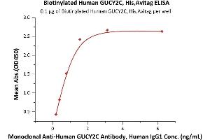 Immobilized Biotinylated Human GUCY2C, His,Avitag (ABIN6973084) at 1 μg/mL (100 μL/well) on streptavidin  precoated (0. (GUCY2C Protein (AA 24-430) (His tag,AVI tag,Biotin))