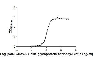 The Binding Activity of SARS-CoV-2-S Antibody, Biotin conjugated with SARS-CoV-2-S1-RBD. (Recombinant SARS-CoV-2 Spike S1 antibody  (Biotin))
