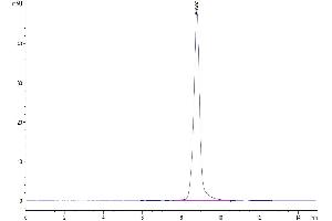 Size-exclusion chromatography-High Pressure Liquid Chromatography (SEC-HPLC) image for Tumor Necrosis Factor (Ligand) Superfamily, Member 13b (TNFSF13B) (Trimer) protein (His-DYKDDDDK Tag) (ABIN7273911)