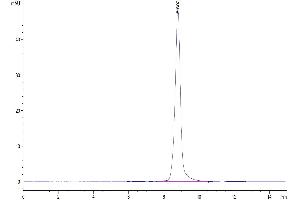 The purity of Human BAFF Trimer is greater than 95 % as determined by SEC-HPLC. (BAFF Protein (Trimer) (His-DYKDDDDK Tag))
