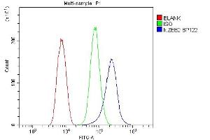 Flow Cytometry analysis of THP-1 cells using anti-ZEB2 antibody (ABIN3042325). (ZEB2 antibody  (AA 1-200))