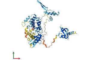 Protein Structure (PS) image for NRBP2 (NRBP2) (AA 1-501) protein (His tag) (ABIN7549938)