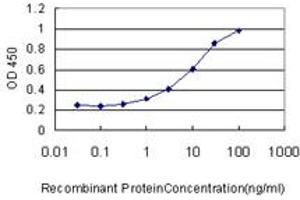 Detection limit for recombinant GST tagged MVP is approximately 1ng/ml as a capture antibody. (MVP antibody  (AA 1-893))