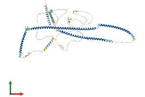 AlphaFold protein structure predicition of Mouse Recombinant Cep85 Protein, UniprotID Q8BMK0 (CEP85 Protein (AA 1-761) (His tag))