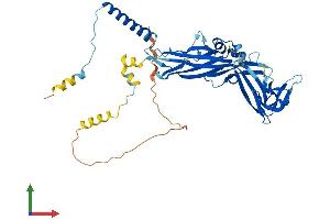 Protein Structure (PS) image for Purinergic Receptor P2X, Ligand-Gated Ion Channel, 5 (P2RX5) (AA 1-422) protein (His tag) (ABIN7550271)