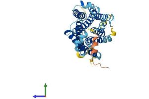 AlphaFold protein structure predicition of Mouse Recombinant Mrgpra8 Protein, UniprotID Q91ZC4 (Mrgpra8 Protein (AA 1-305) (His tag))