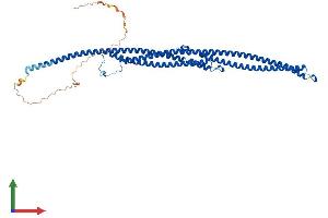 AlphaFold protein structure predicition of Mouse Recombinant Tekt3 Protein, UniprotID Q6X6Z7