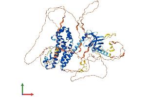 AlphaFold protein structure predicition of Human Recombinant ARHGEF15 Protein, UniprotID O94989