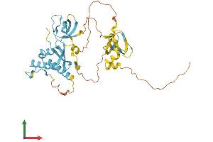 AlphaFold protein structure predicition of Human Recombinant NOXO1 Protein, UniprotID Q8NFA2 (NOXO1 Protein (AA 1-376) (His tag))