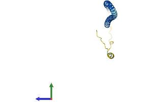 AlphaFold protein structure predicition of Human Recombinant VAMP4 Protein, UniprotID O75379