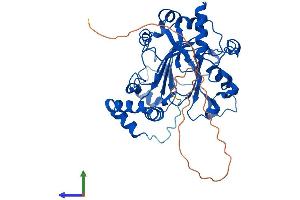 AlphaFold protein structure predicition of Mouse Recombinant Jmjd6 Protein, UniprotID Q9ERI5