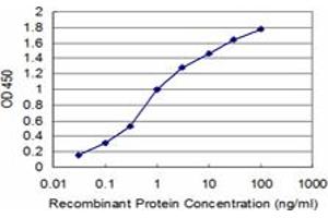 Detection limit for recombinant GST tagged PDK4 is approximately 0. (PDK4 antibody  (AA 1-411))