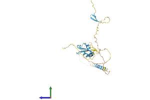 Protein Structure (PS) image for LysM, Putative Peptidoglycan-Binding, Domain Containing 4 (LYSMD4) (AA 1-293) protein (His tag) (ABIN7559243)
