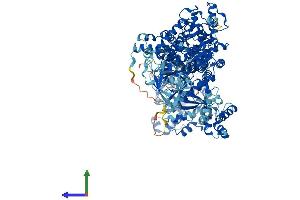 Protein Structure (PS) image for Leucyl-tRNA Synthetase (LARS) (AA 1-1178) protein (His tag) (ABIN7564399)