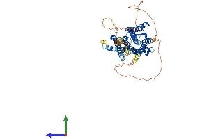 AlphaFold protein structure predicition of Mouse Recombinant Chrm2 Protein, UniprotID Q9ERZ4 (Muscarinic Acetylcholine Receptor M2 Protein (AA 1-466) (His tag))