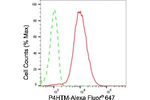 Flow cytometric analysis of P4HTM expression in HepG2 cells using P4HTM antibody (ABIN7799921), 1:2,000). (Recombinant P4HTM antibody)