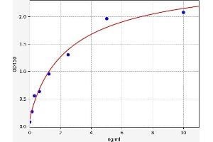 STAT2 ELISA Kit