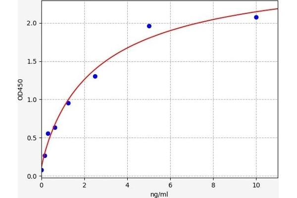 STAT2 ELISA Kit