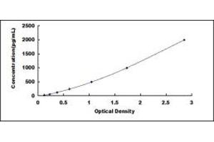 Typical standard curve (Kallikrein 13 ELISA Kit)